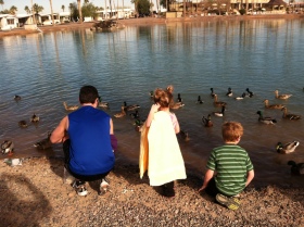 Feeding the ducks in Scottsdale, AZ